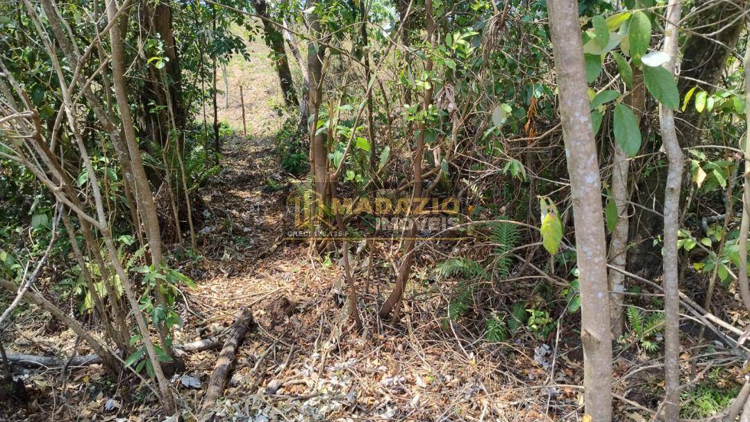 Terreno, 5000 m² - Foto 2