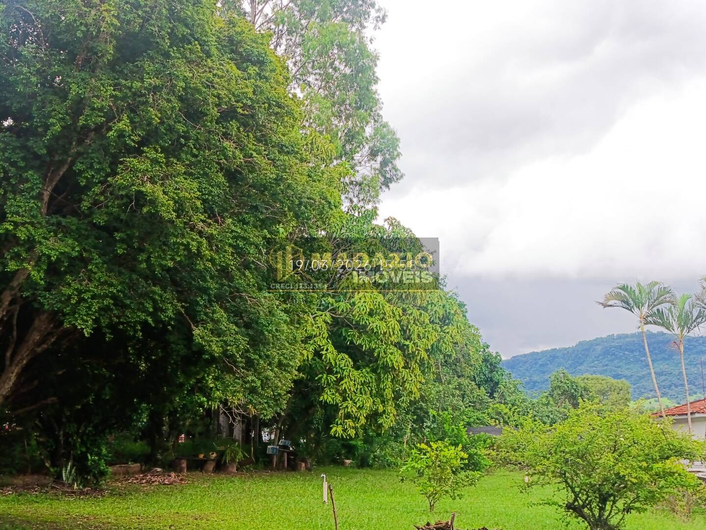 Sítio, 6 quartos, 5325 m² - Foto 35