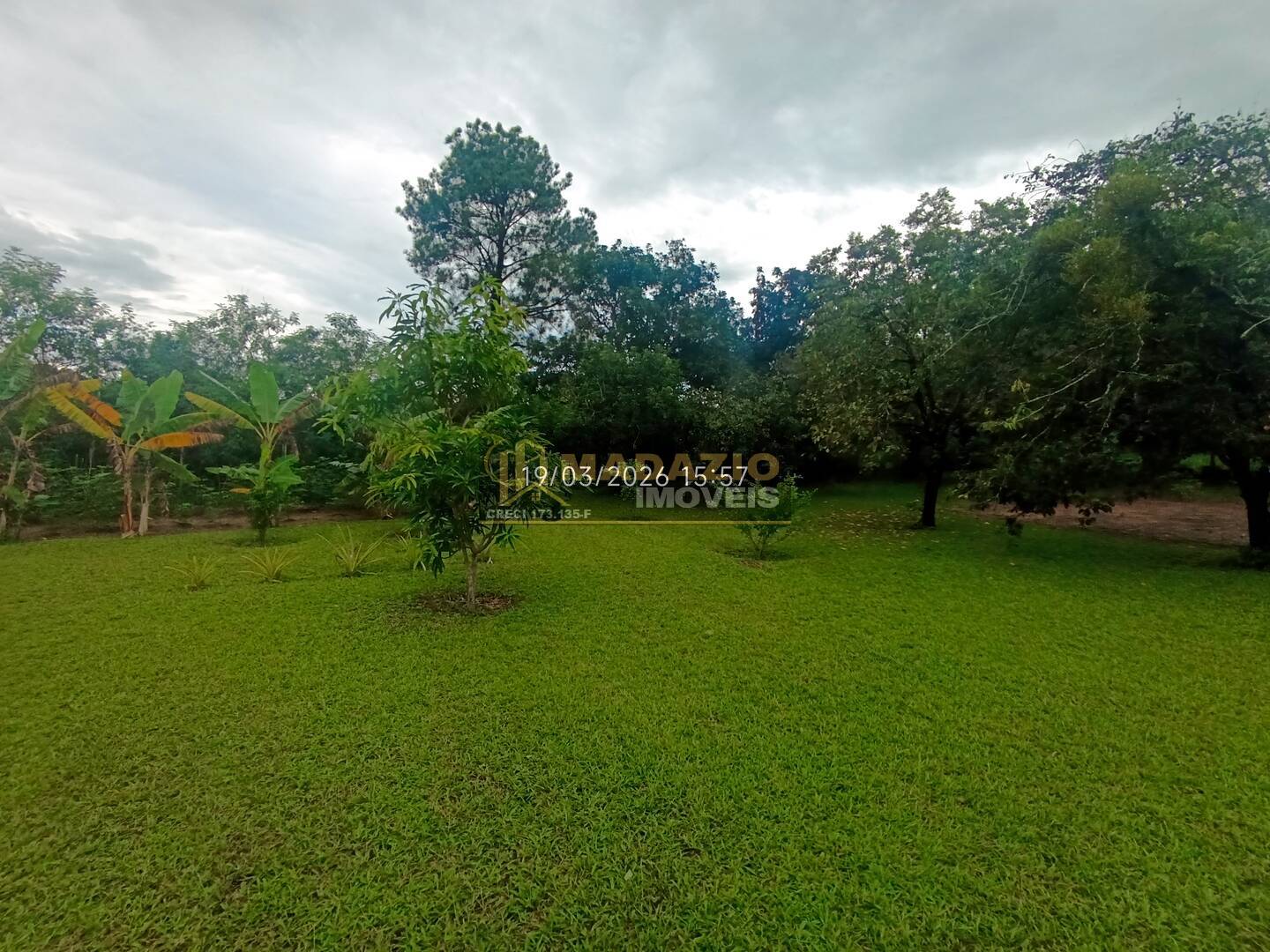 Sítio, 6 quartos, 5325 m² - Foto 39