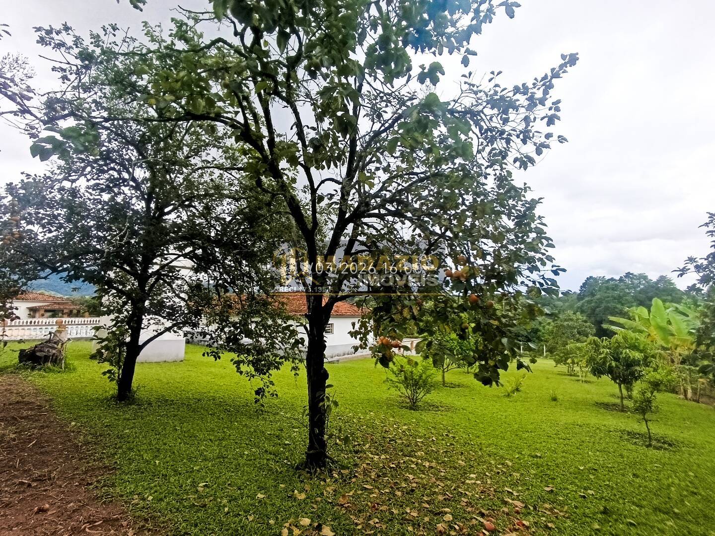 Sítio, 6 quartos, 5325 m² - Foto 40