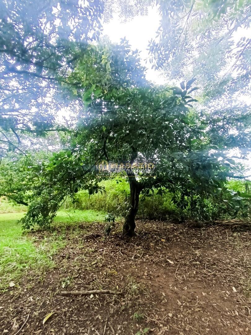 Sítio, 6 quartos, 5325 m² - Foto 41