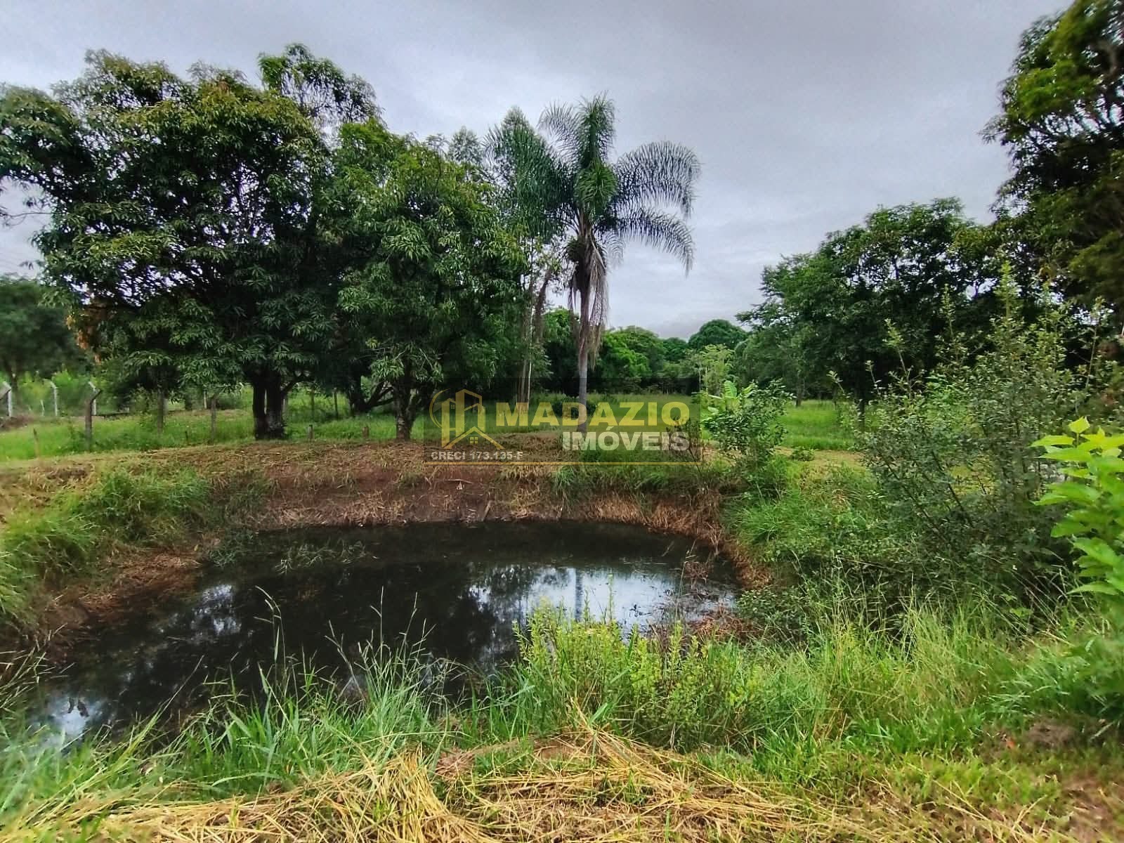 Sítio, 3 quartos, 5000 m² - Foto 3