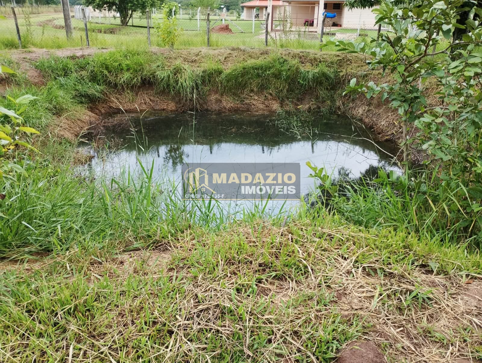 Sítio, 3 quartos, 5000 m² - Foto 6