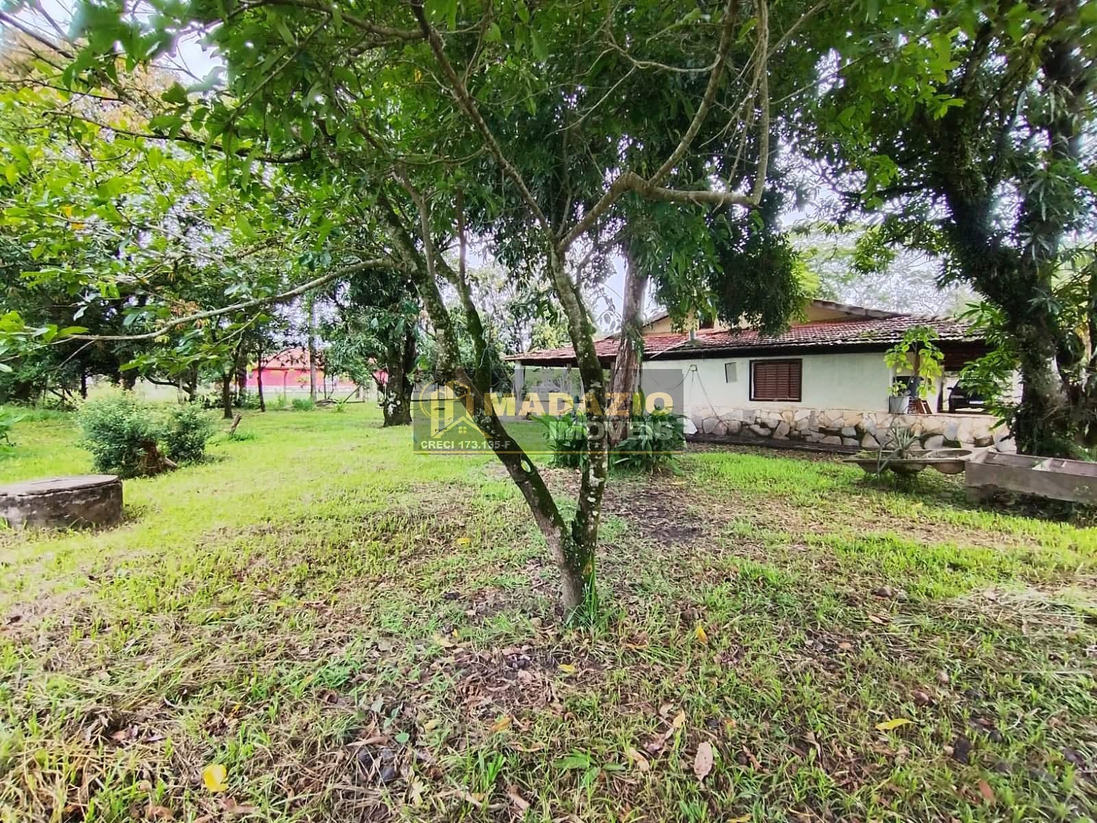 Sítio, 3 quartos, 5000 m² - Foto 7