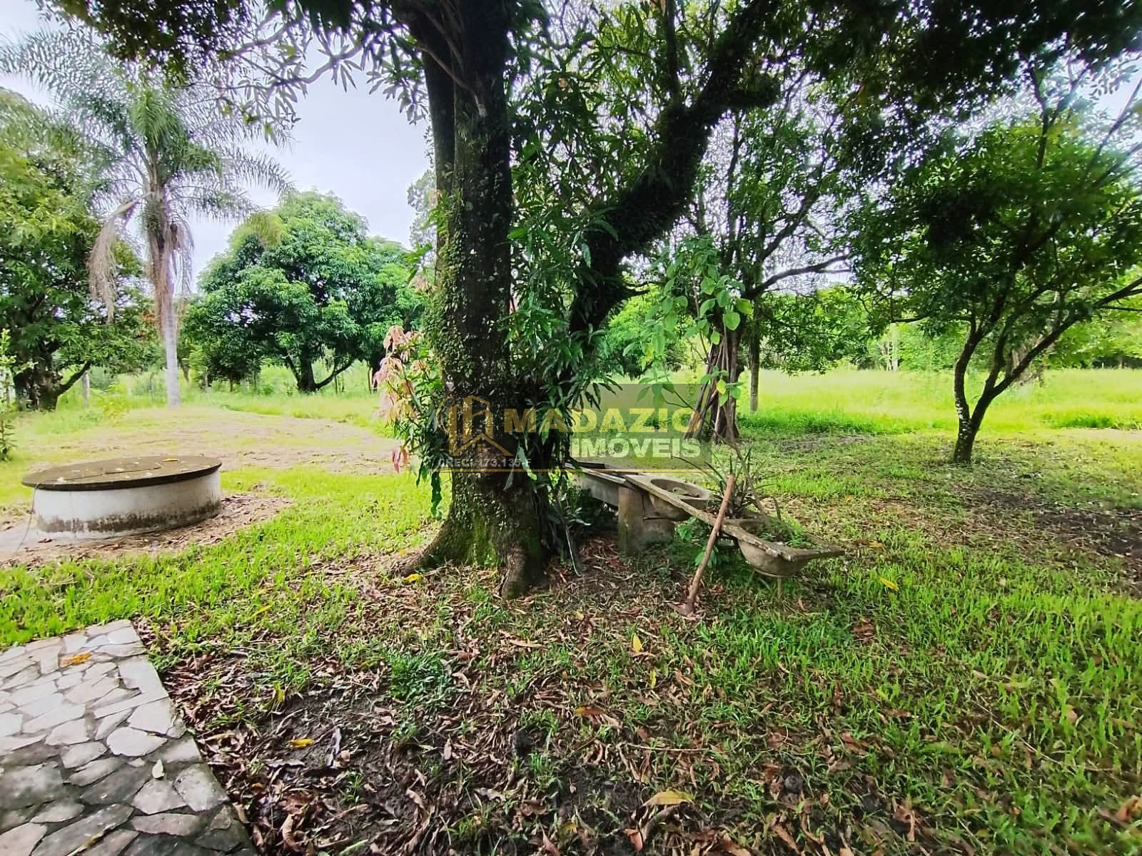 Sítio, 3 quartos, 5000 m² - Foto 9