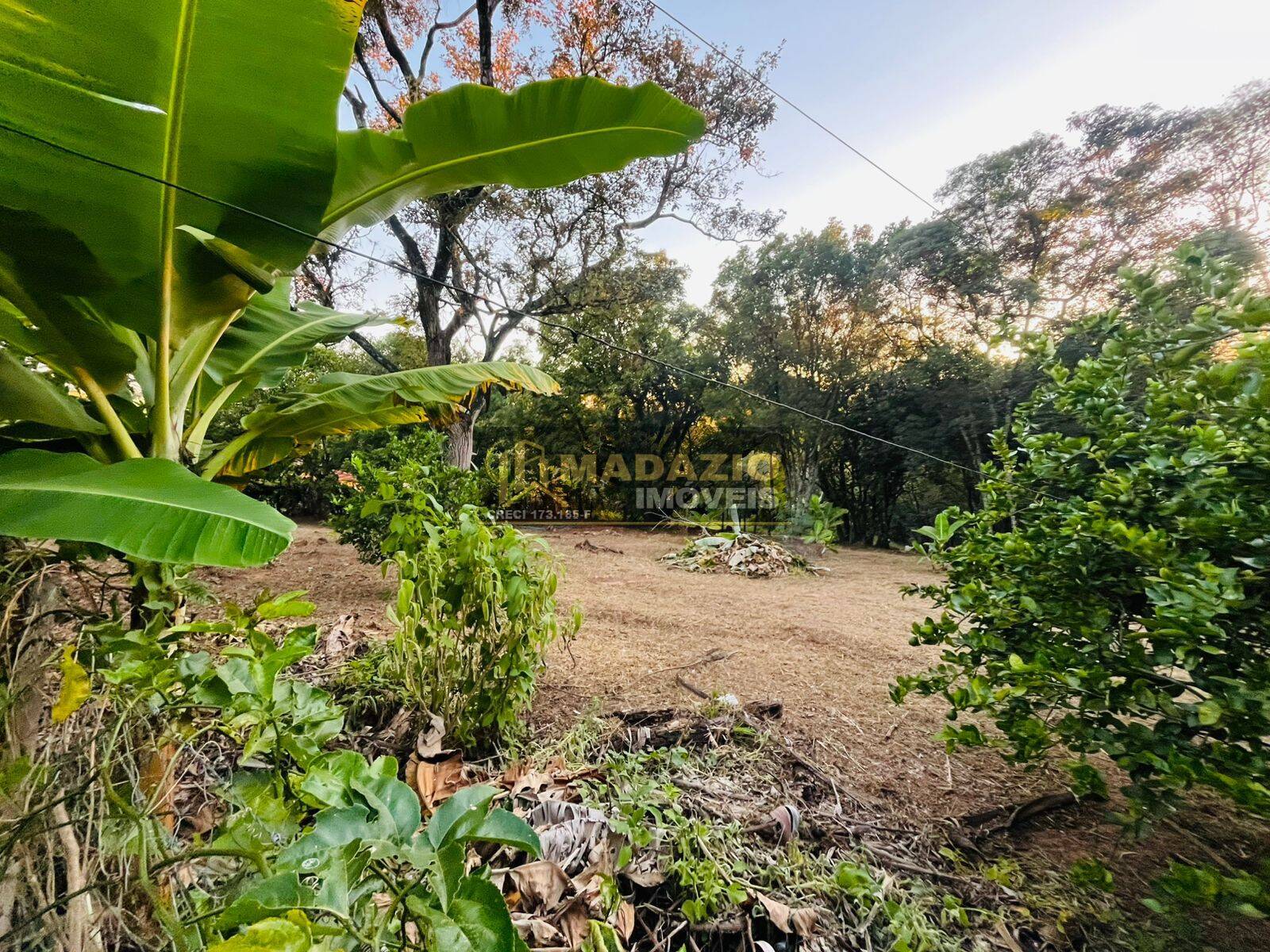 Sítio, 2 quartos, 5000 m² - Foto 10