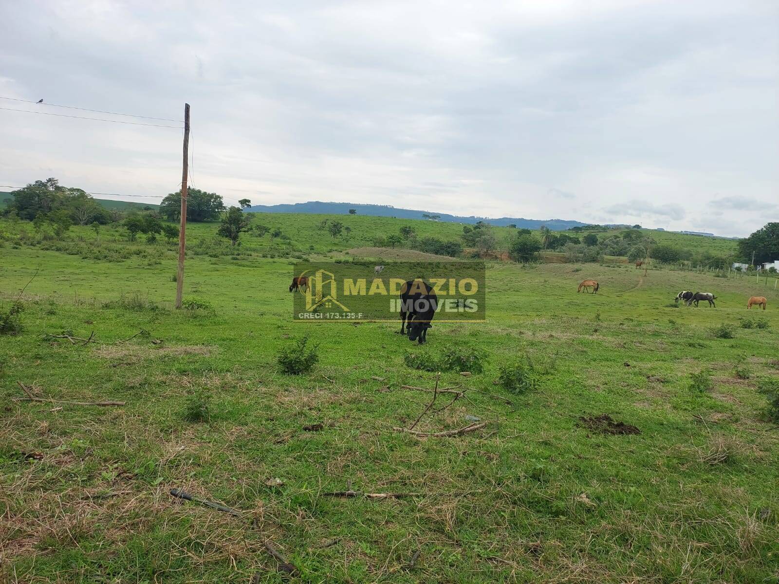 Terreno, 7 m² - Foto 11