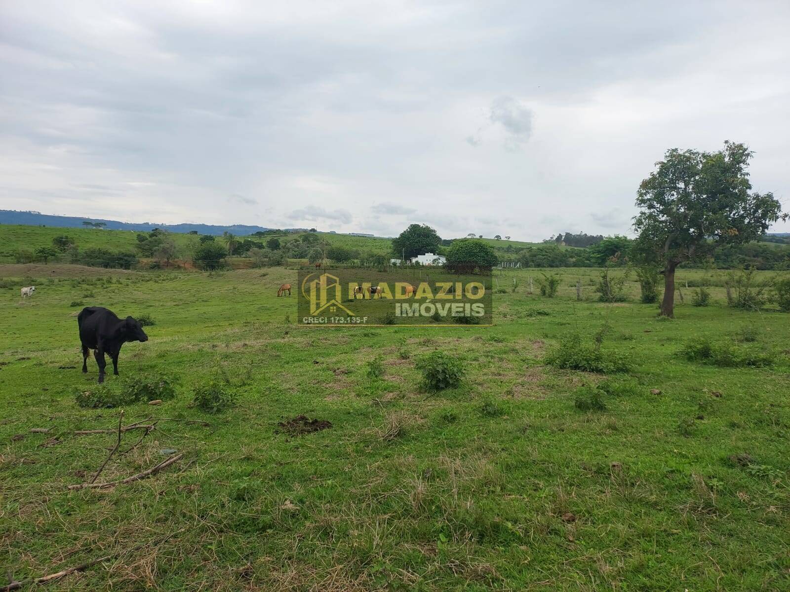 Terreno, 7 m² - Foto 13
