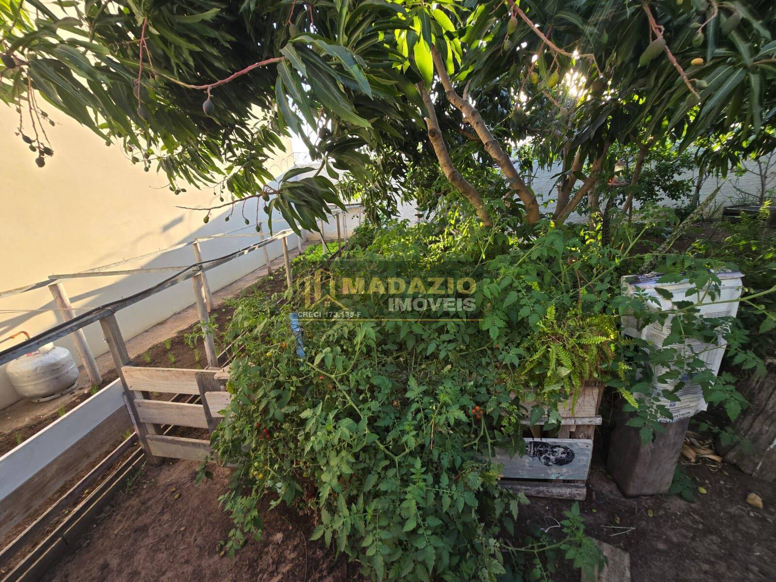 Casa, 4 quartos, 250 m² - Foto 4